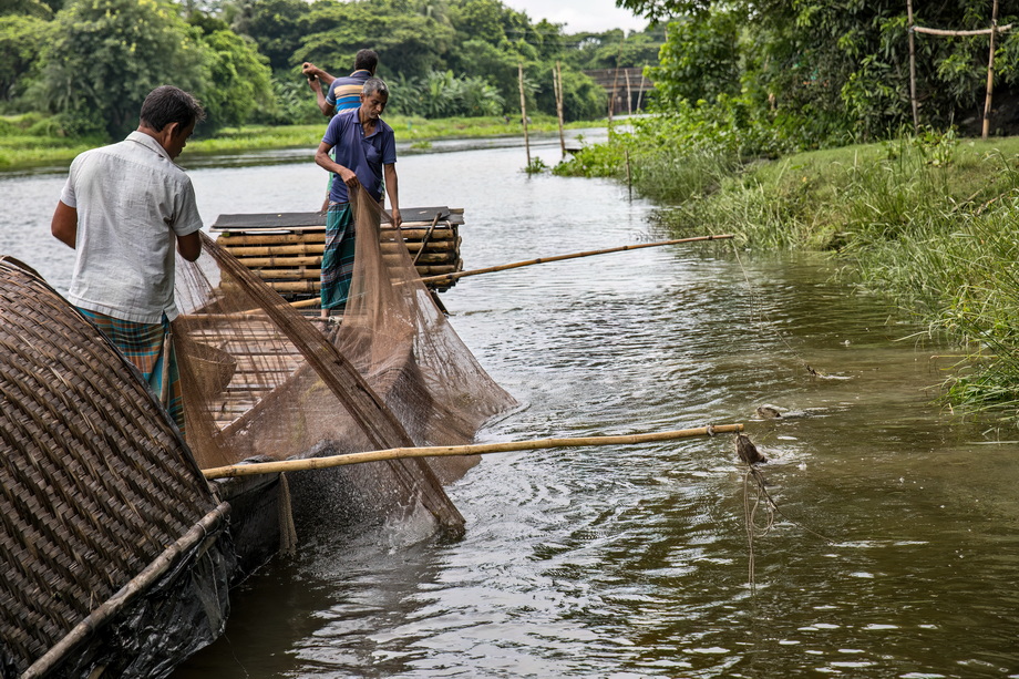 Otter Fishing in Bangladesh